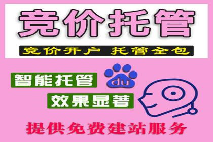 百度搜索推广实战技巧：成功案例背后的秘密